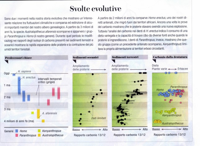 evul_ rapporti_isotopici0001