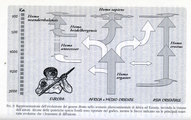 manzi albero uomo0001