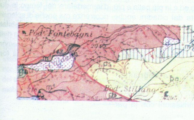 neoautoctono_cartine20002