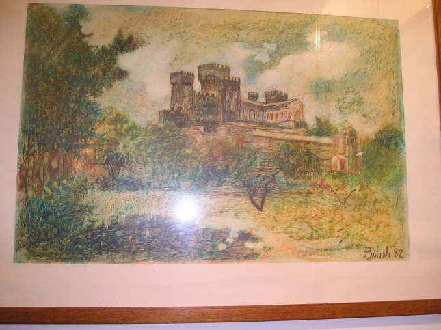 OLYMPUS DIGITAL CAMERA