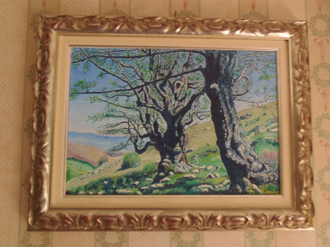 OLYMPUS DIGITAL CAMERA