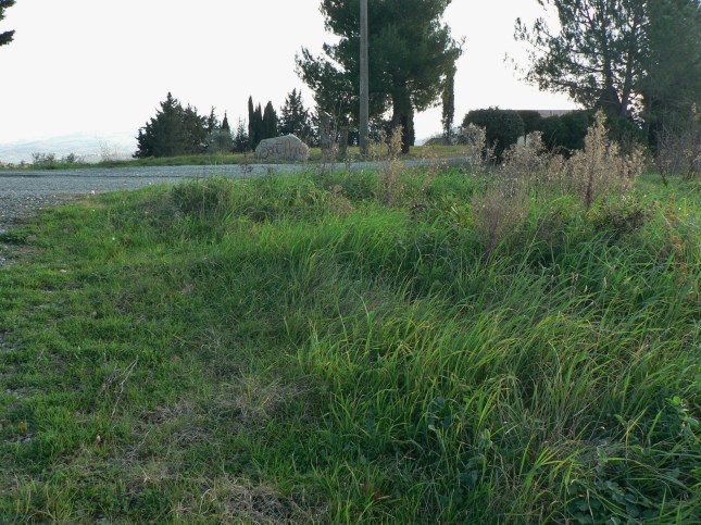 punti-di-riferimento-1