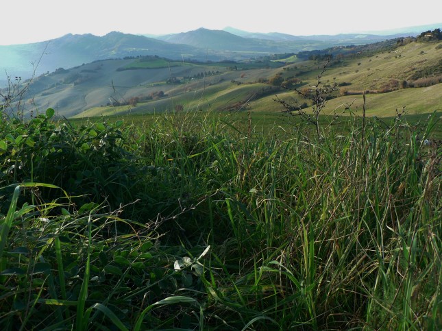 punti-di-riferimento-2